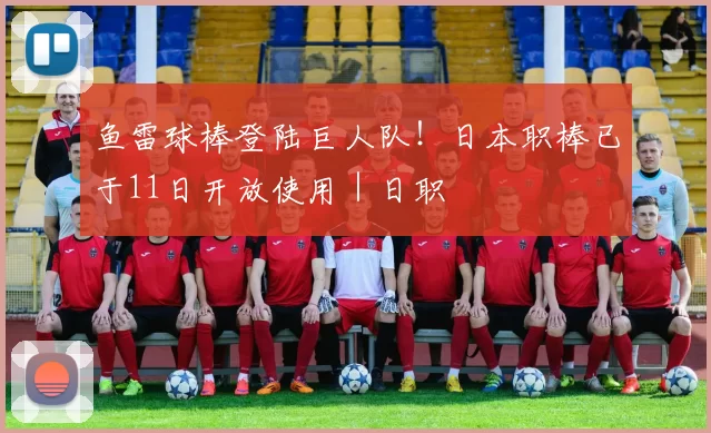 鱼雷球棒登陆巨人队！日本职棒已于11日开放使用｜日职