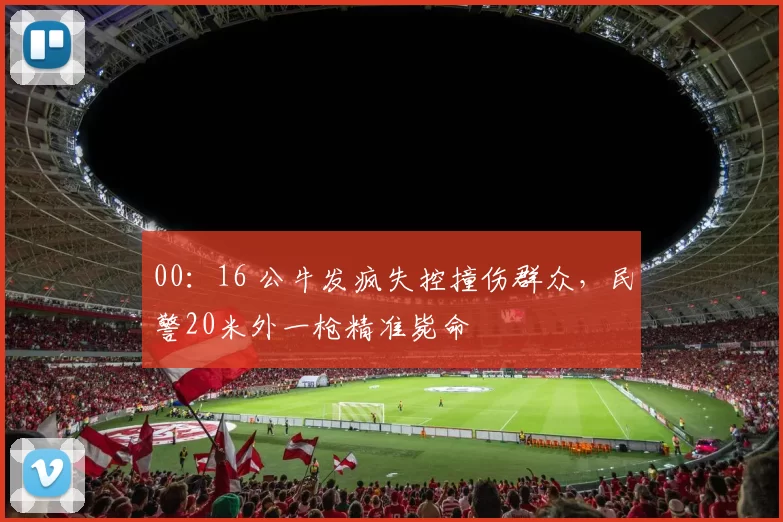 00：16 公牛发疯失控撞伤群众，民警20米外一枪精准毙命