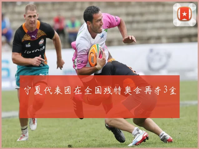 宁夏代表团在全国残特奥会再夺3金