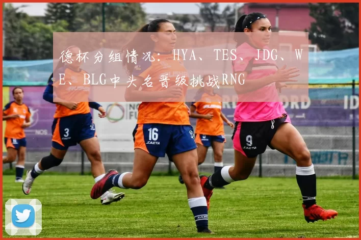 德杯分组情况：HYA、TES、JDG、WE、BLG中头名晋级挑战RNG