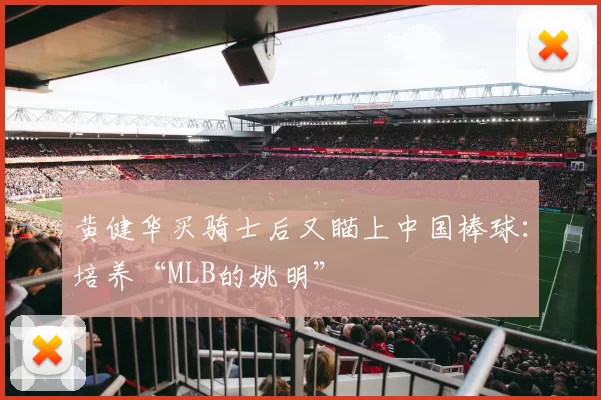 黄健华买骑士后又瞄上中国棒球：培养“MLB的姚明”