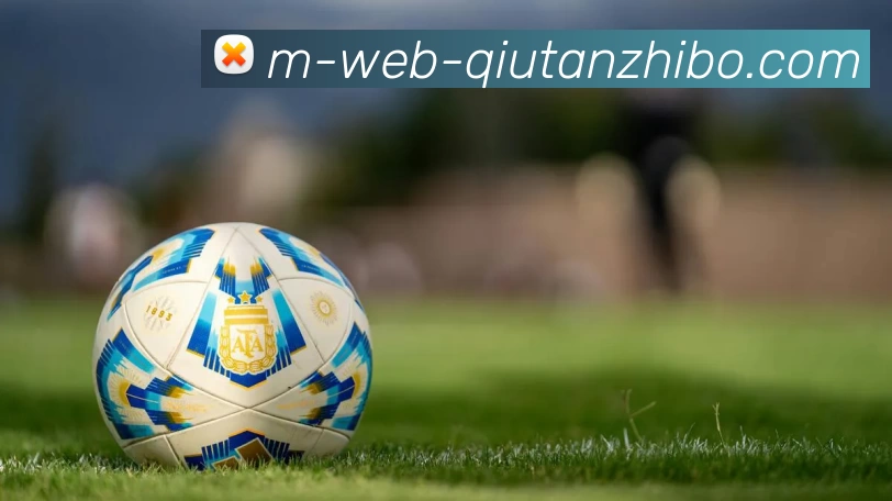 球探比分平台生态图